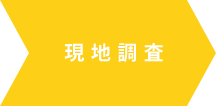 現地調査